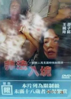 达洋猫